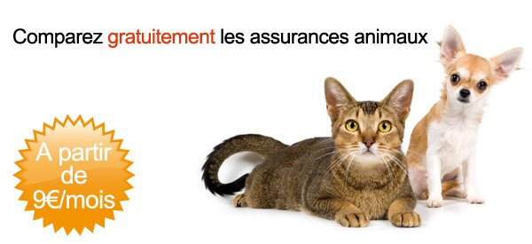 assurance animaux