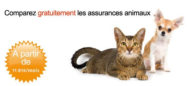 assurance animaux